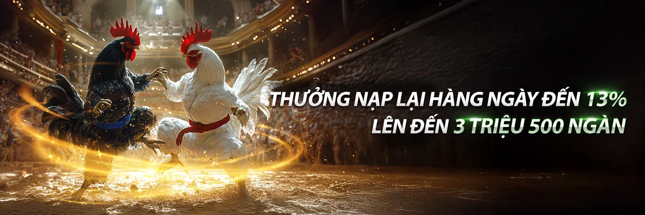 Đá gà Thomo 18/7/2024 trực tiếp tại VNz6