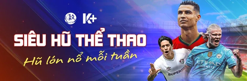 Hoàn trả hàng ngày vnz6